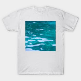 Blue Water Springs Florida Nature T-Shirt